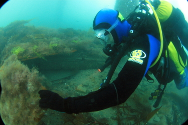 Treffor Pier Img_0413