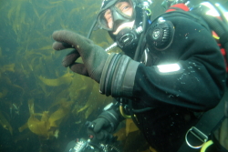 Farnes weekend Img_0714