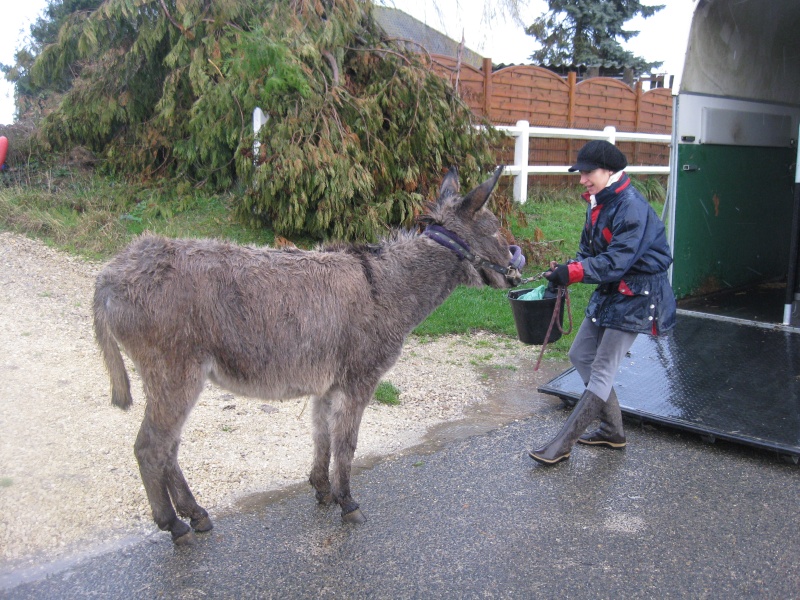 Ni poney ni cheval... Img_6510