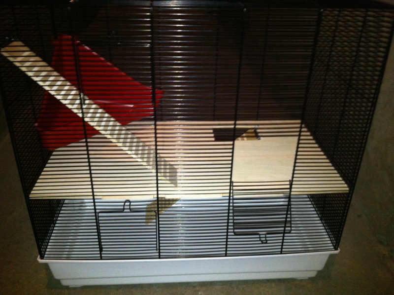 vend cage pour deux rats , à cloturer merci Image_11