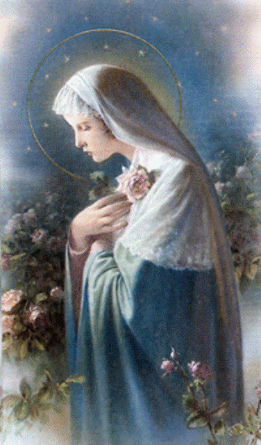 La Très Sainte Vierge Marie et les fleurs - Page 2 Card2311
