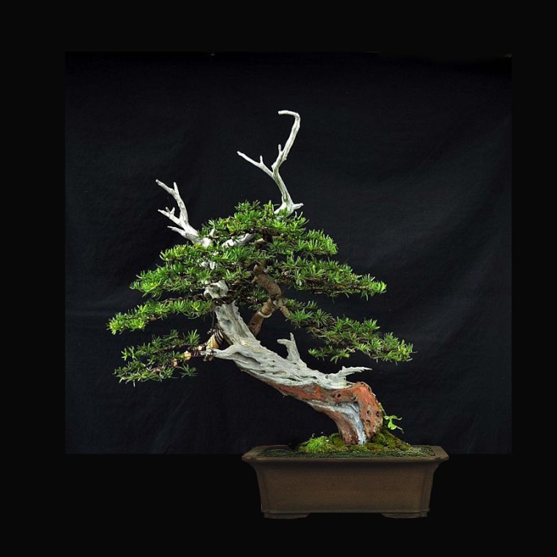 RESTYLING MY OLD YAMADORI YEW. K-eibe14