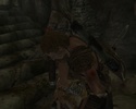 Elders Scrolls V: Skyrim Screen47