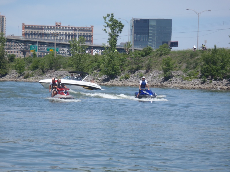 Petite randonnée sur le Fleuve 10 juin  P6102014