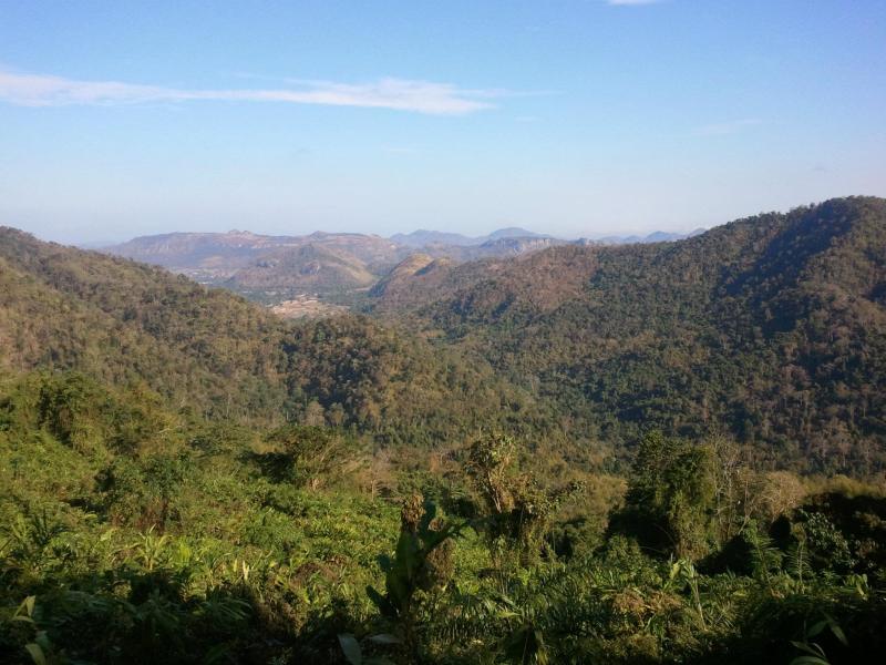 Thailande - Découvrir Khao Sok et autres parcs nationaux Thaina10