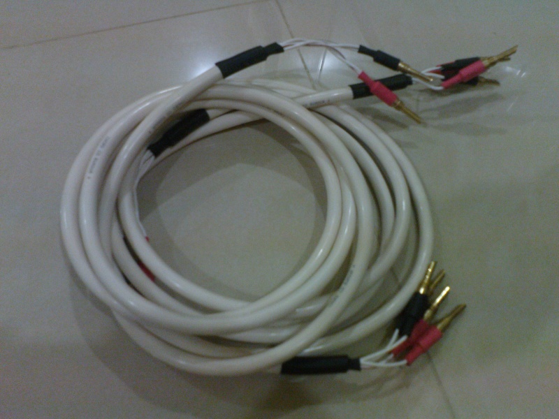 Chord Company Rumour 4 Speaker Cable (Sold) Dsc04910