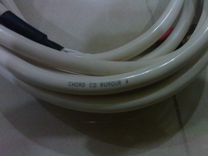 Chord Company Rumour 4 Speaker Cable (Sold) Dsc04911