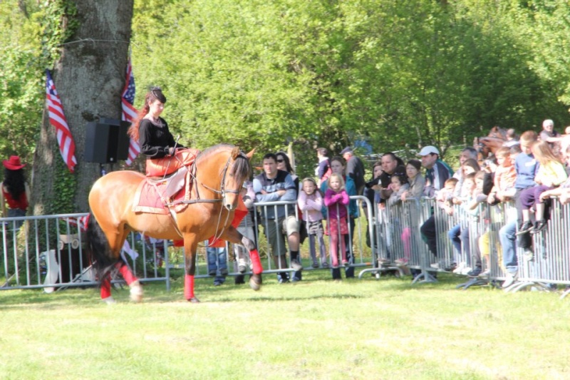 Printemps du cheval à MORMAISON 2012 14878710