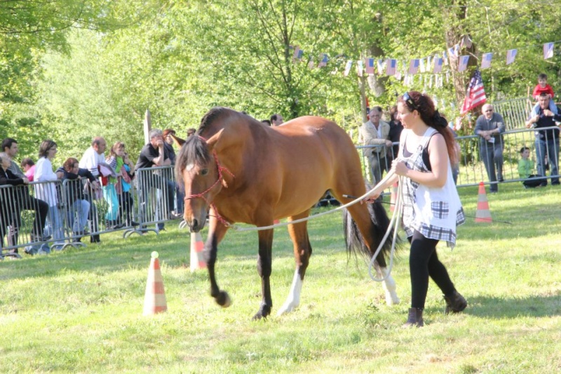 Printemps du cheval à MORMAISON 2012 55517910