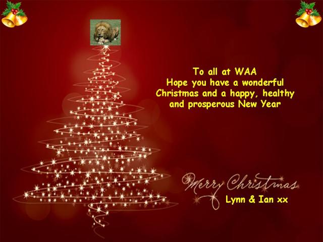 Merry Christmas WAA Card11