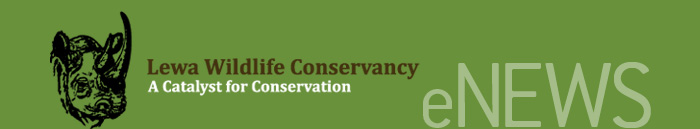 Lewa Wildlife Conservancy Lewa10