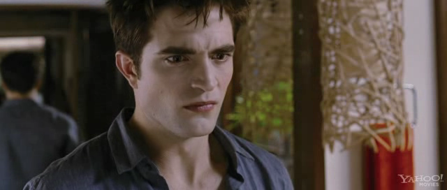 Breaking Dawn 110