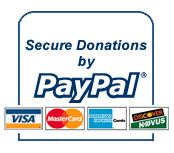 making a paypal thingy Paypal10