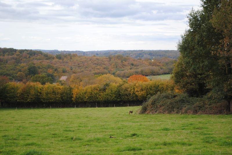 le périgord Yves_e10