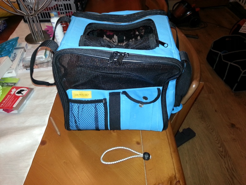 SMALL BLUE TRAVEL CASE  2012-133