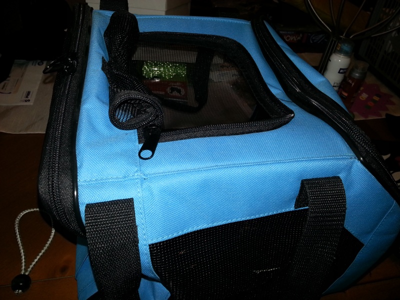 SMALL BLUE TRAVEL CASE  2012-134