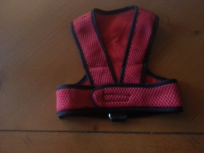 RED MESH HARNESS 2012-145