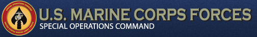 Projet Commun Force Recon: 11th MEU Banner15