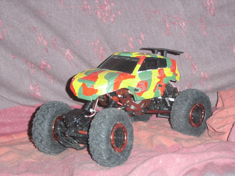 pti crawler qui se prend pour un Scale  Rimg0016