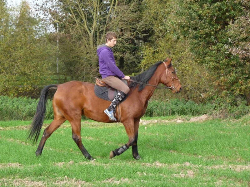 Urgence BOUCHERIE pour une trotteuse de 6ans P1130225