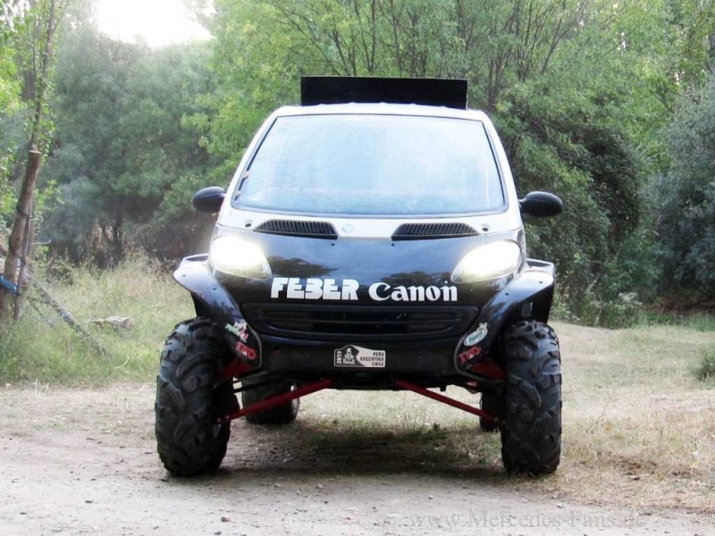 Smart FEBER Rallye Dakar (2013) Smart-34