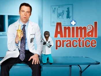 Animal Practice Animal10