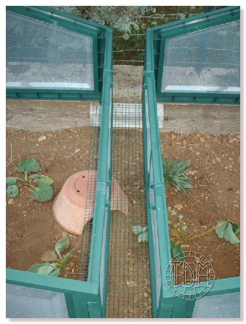 Exemple d'enclos extérieur pour tortues palustres Pardal15
