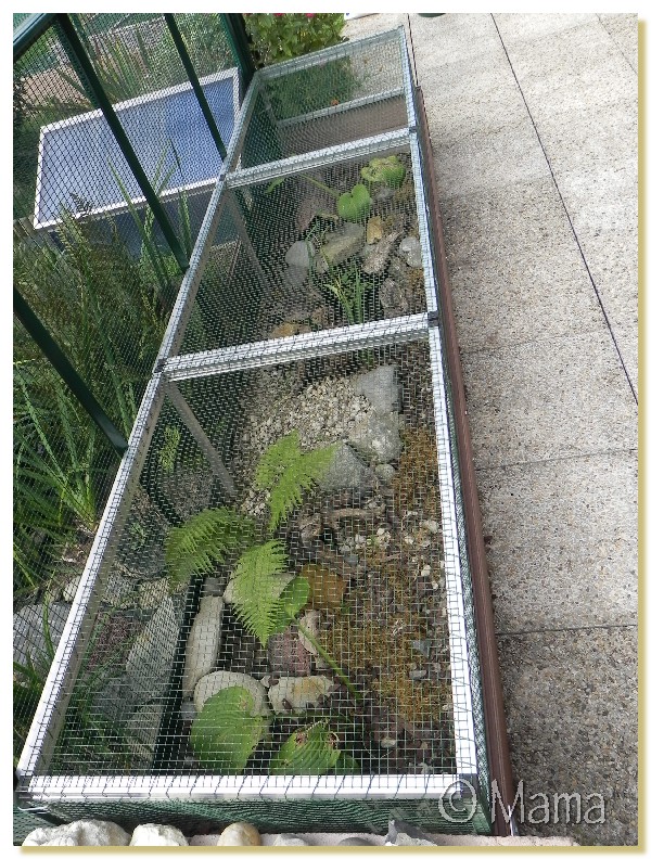 Exemple d'enclos extérieur pour tortues palustres Terter10