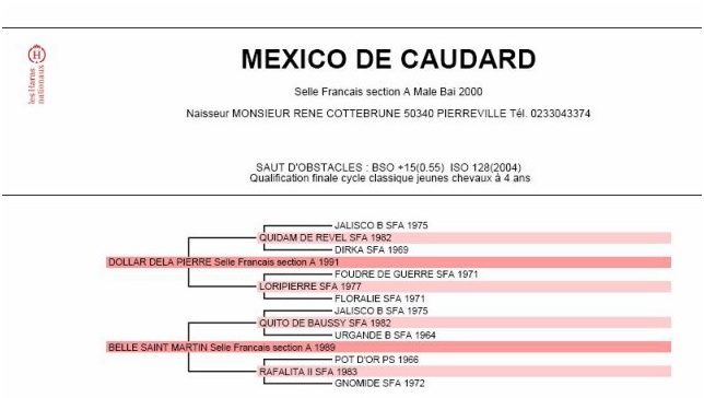 *Apaloo des Nouettes, Little de l'Ouest et moi même* Mexico10