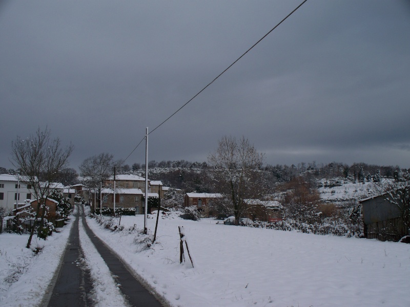 31 gennaio - 1 febbraio Minuto per minuto la neve in Toscana. - Pagina 8 100_5914