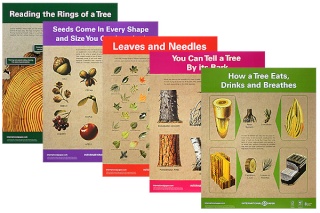 FREE Life of the Forest Teacher Kit 01210