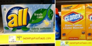 All Detergent & Clorox 2 Printable Coupon = $.50 at Dollar General & $.85 at Walmart All-cl10