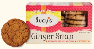 Dr. Lucy's Cookies Review & Giveaway ends 2/15 Ginger10