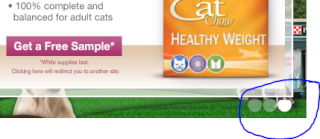 FREE Purina Cat Chow Healthy Weight Sample Puri10