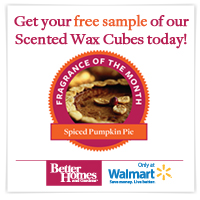 FREE Better Homes and Gardens Spiced Pumpkin Pie Scented Wax Cubes Scente10