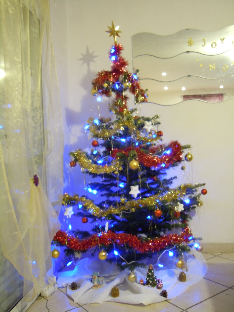 Montre nous ton sapin - Page 4 Sapins10