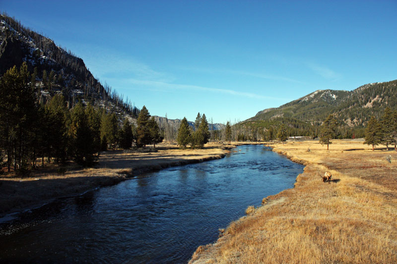 Tyrone en voyage autour des Rocky Mountains USA 20091110