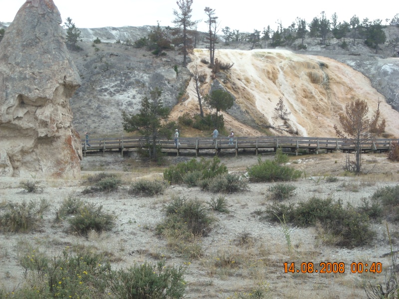 Tyrone en voyage autour des Rocky Mountains USA E_f_h_15