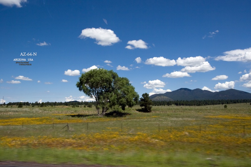 Tyrone en voyage autour des Rocky Mountains USA Road_210