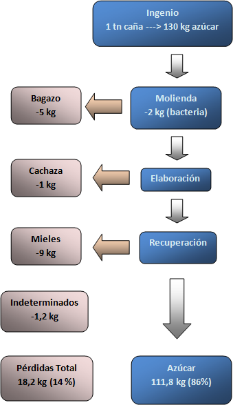 Pérdidas de Azúcar en un Ingenio Azucarero ♦ Tecnología Azucarera Fig_1b10