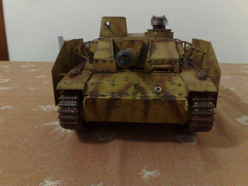 Stug III Heng Long Trasformato Asiatam 13022011