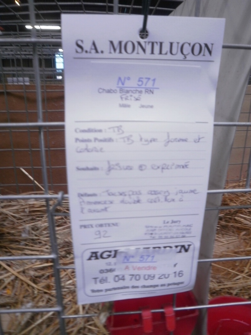 Montluçon 26 et 27 novembre 2011 Pb131363