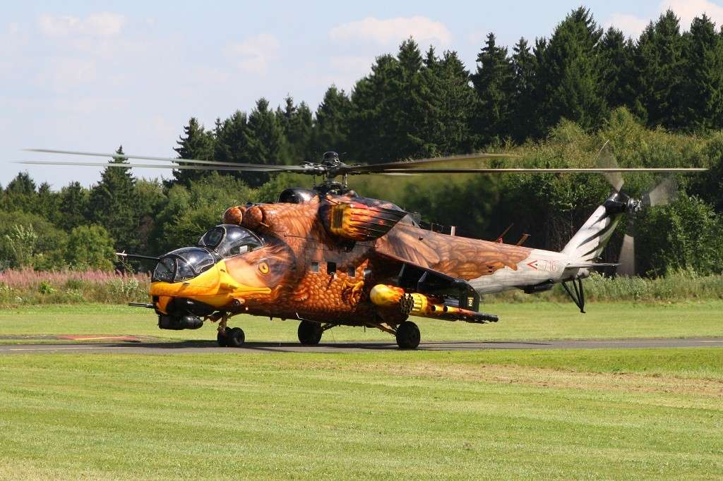 Breitscheid Airshow 21.08.2010 71610