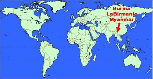 la poule naine de Burma Origin20
