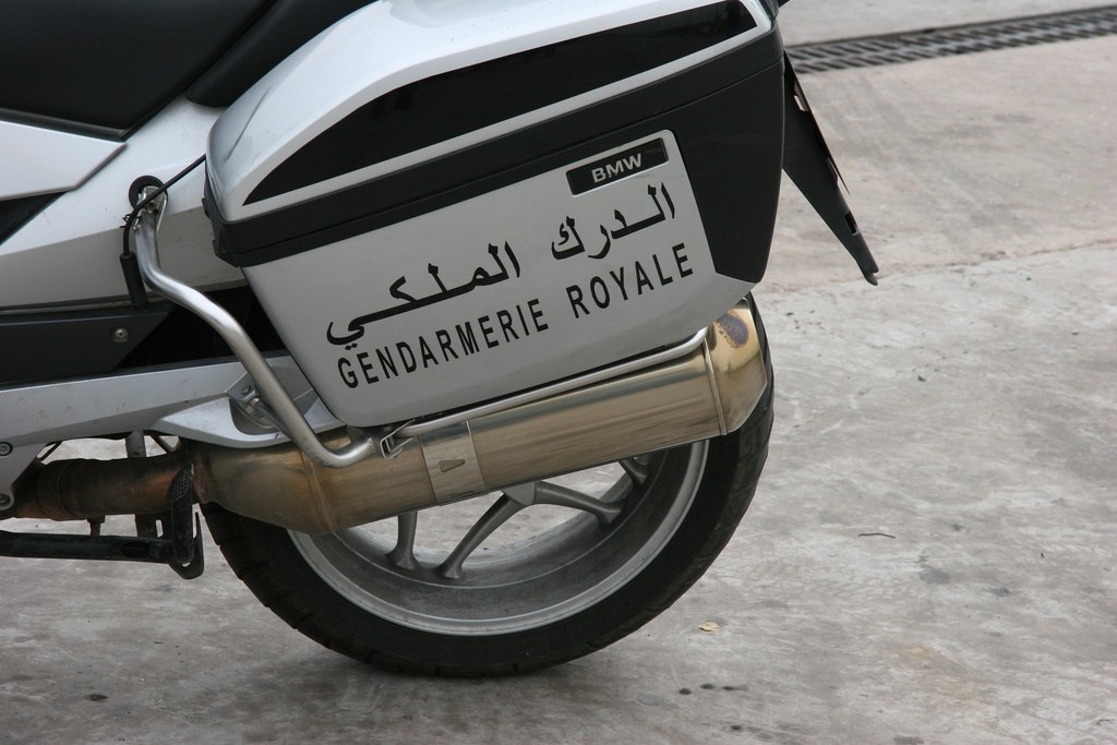  الدرك الملكي المغربي(Motorcycles) 44500710