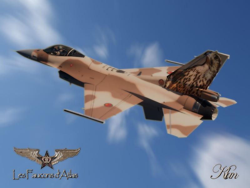 Videos, Montages et dessins des FRA - Page 9 F-16_f10