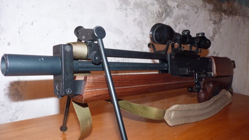 Vends Sniper WA 2000 [ARES] P1020913