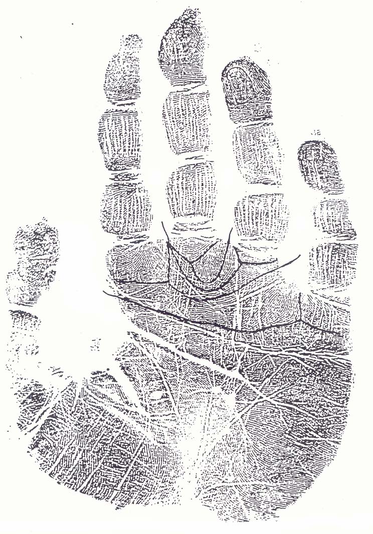 Intro to 5 element chirology - Page 5 Fragil10