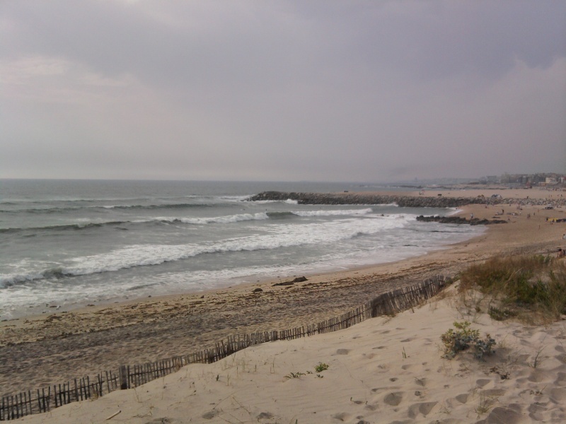 La plage portugaise Photo010