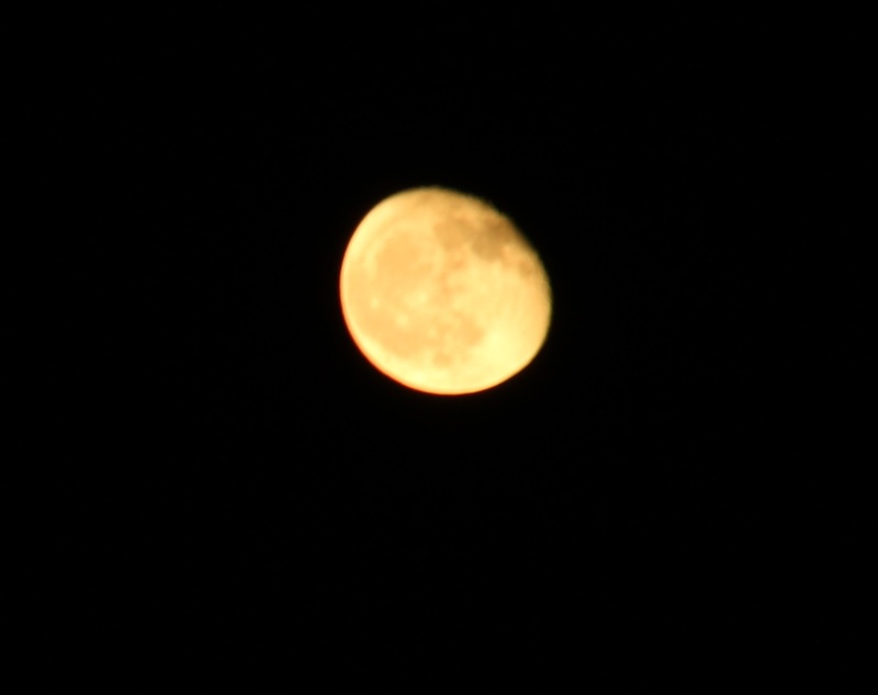 Photo de la lune Img_1811